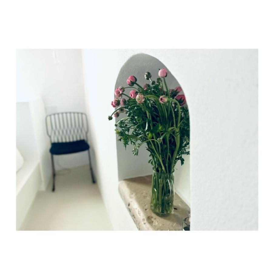 Hydria Guest House Art Gallery Acquaviva delle Fonti Luaran gambar
