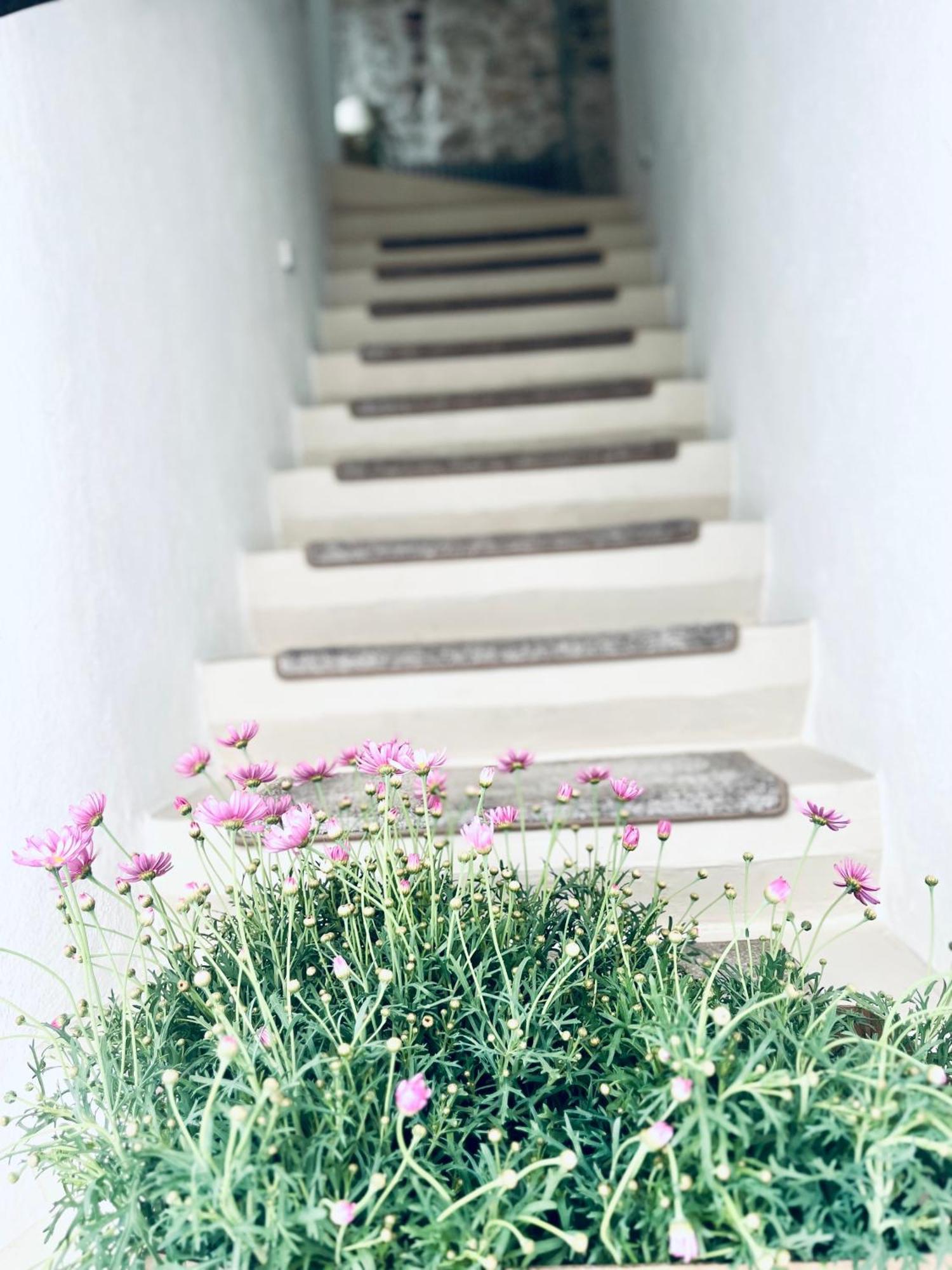 Hydria Guest House Art Gallery Acquaviva delle Fonti Luaran gambar